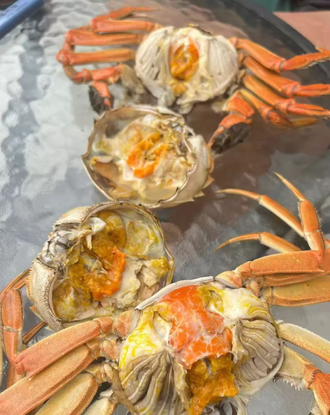 江苏大闸蟹1.5母蟹20个装