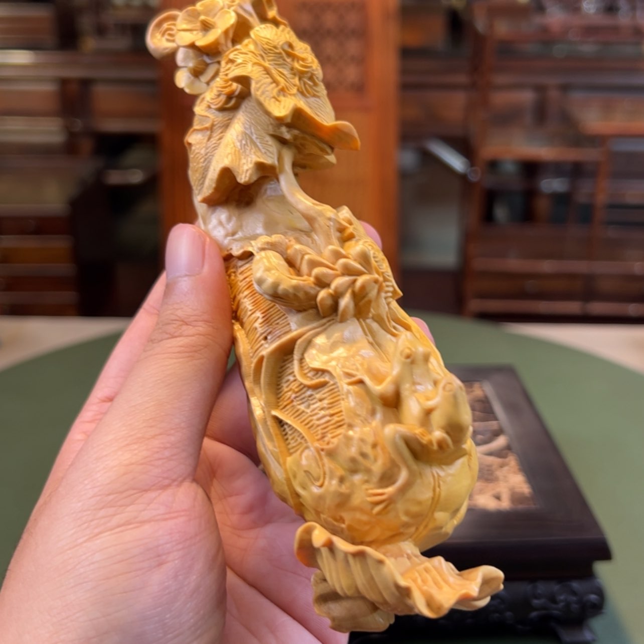 【闪购商品】黄杨木其他