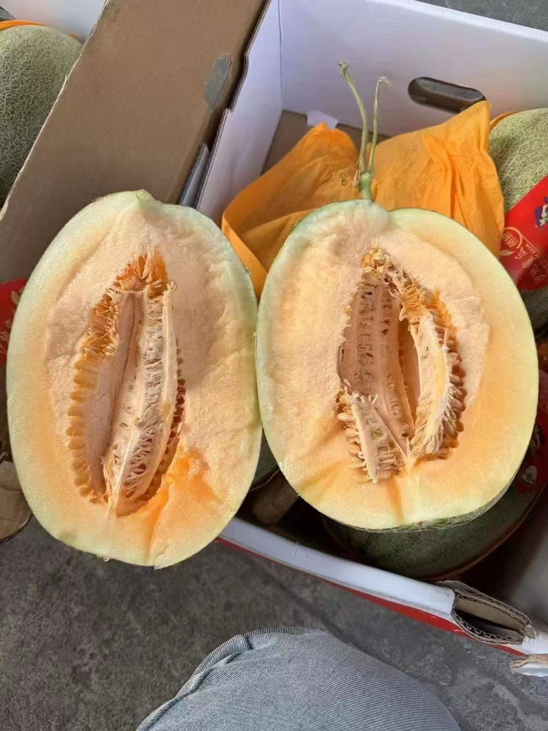 【脆甜可口】哈密瓜15元/个