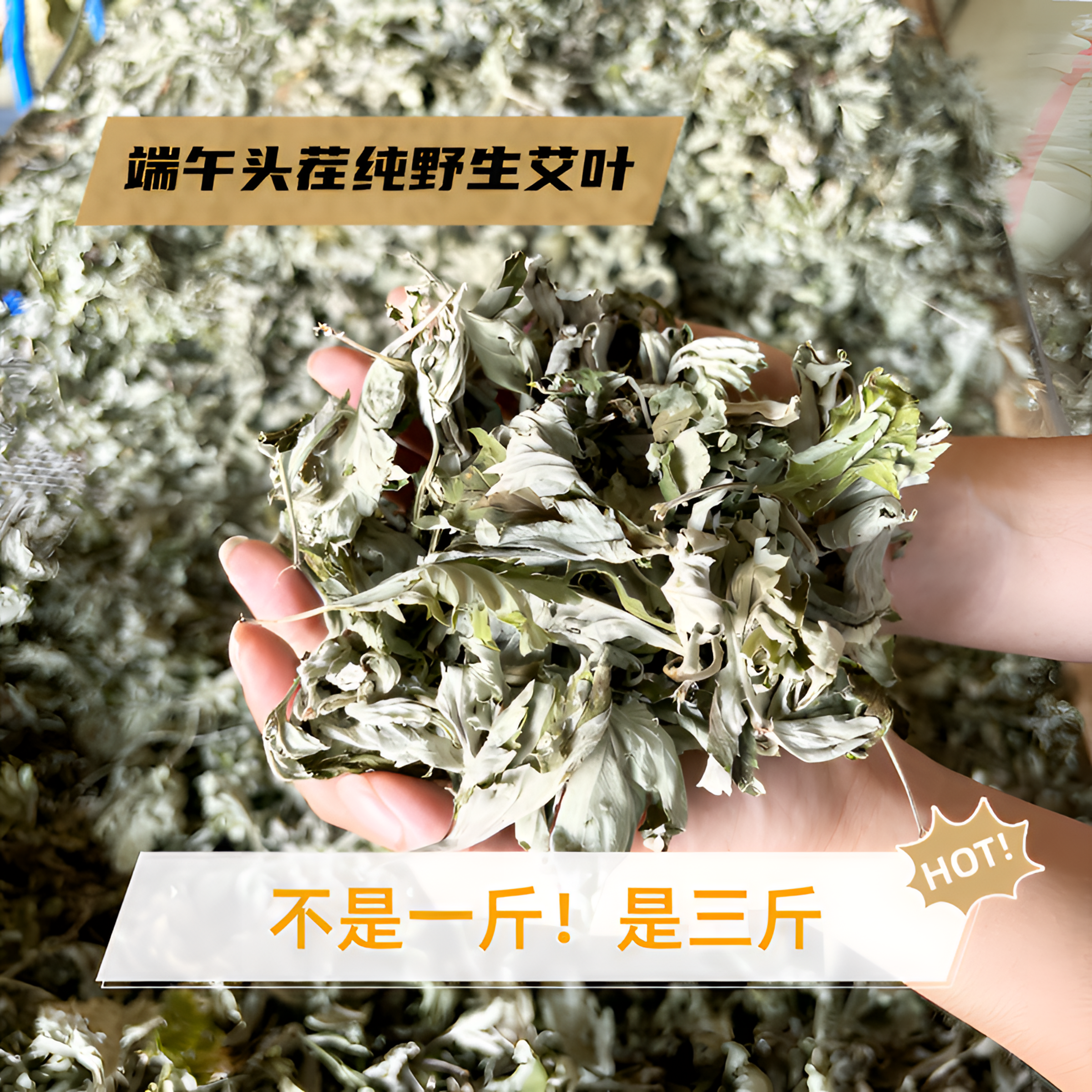 25年端午头茬纯野生艾叶，大叶艾，泡脚、泡澡、陈放做艾绒