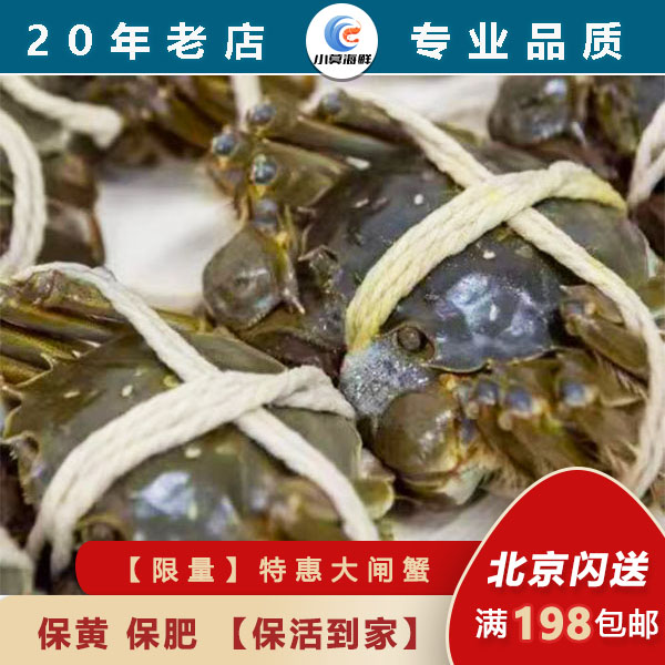 【限量】大闸蟹 8只装  【4只】2两母蟹 + 【4只】3两公蟹  保黄 保膏【保活到家】