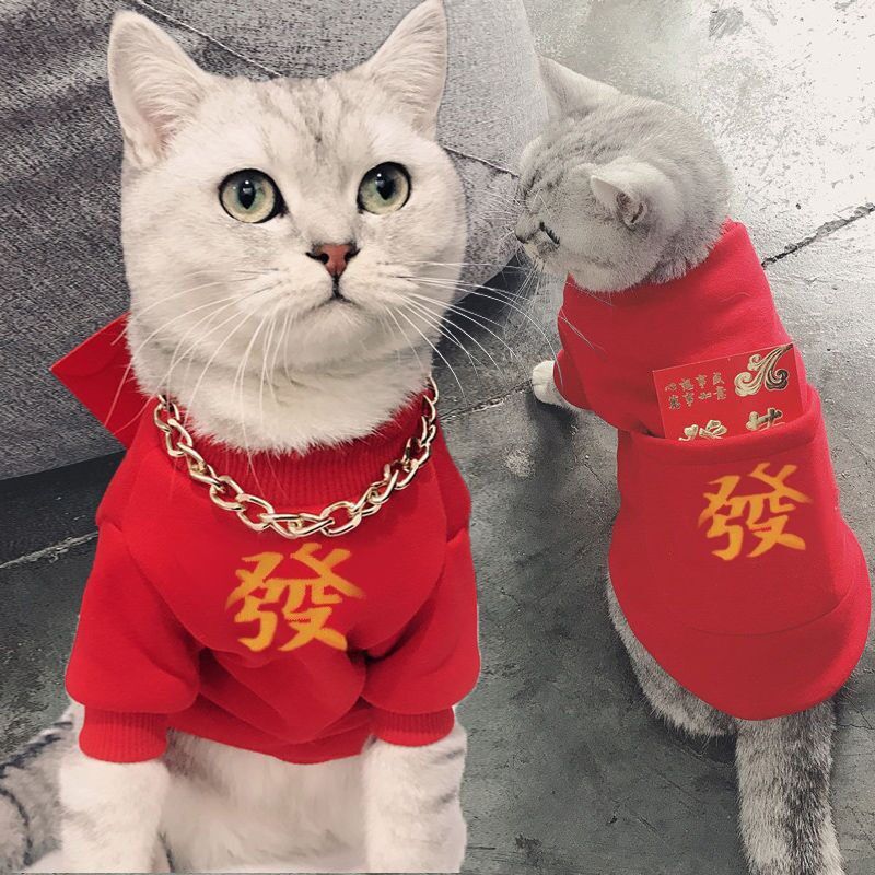 秋冬过年衣服猫咪衣服可爱小猫新年保暖加绒加厚狗狗红色宠物衣服