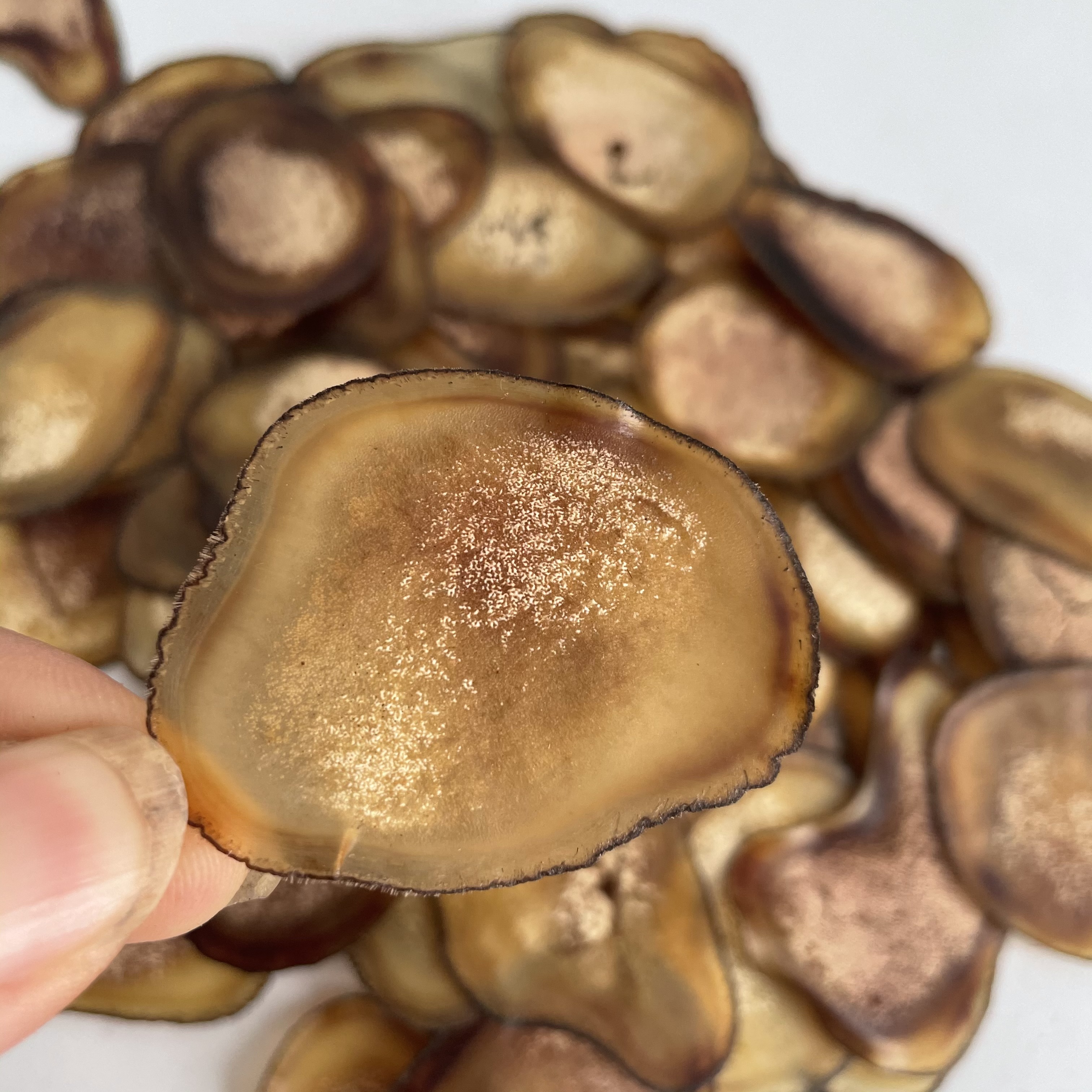 潮汕燕姐正品鹿茸半腊片 煲汤泡酒泡水炖鸡汤炖骨头汤东北特产