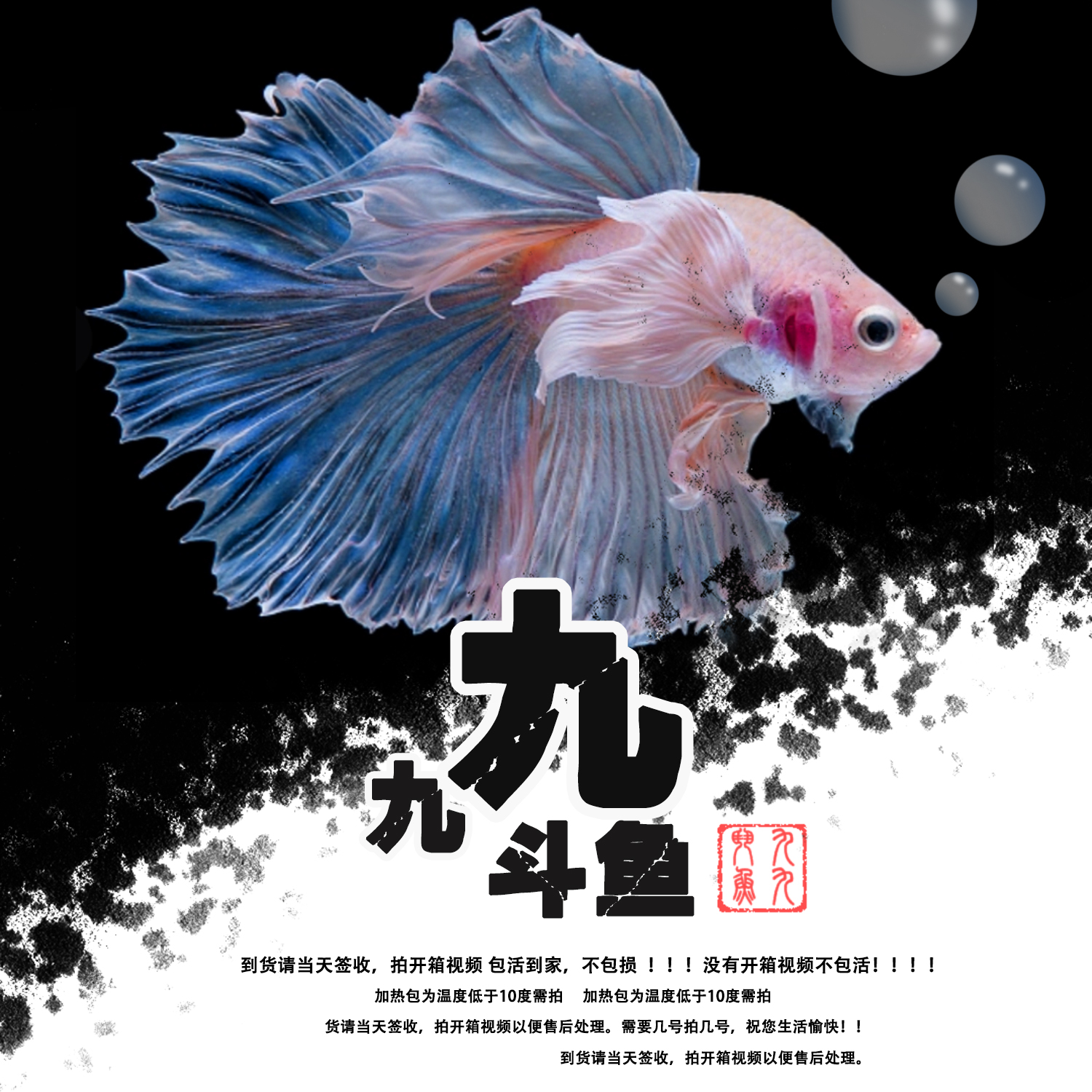 【1-100】泰国斗鱼热带鱼
