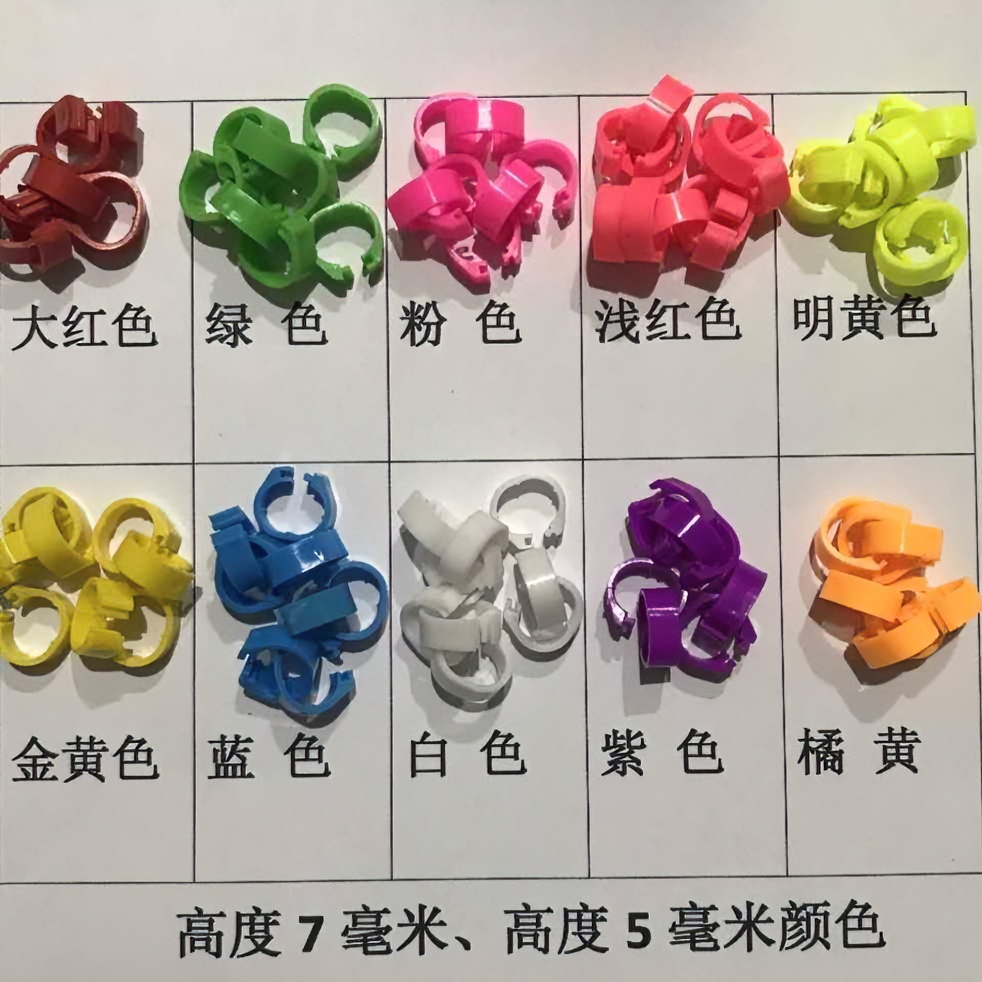 鸽子塑料卡环，一包100个！鸽具