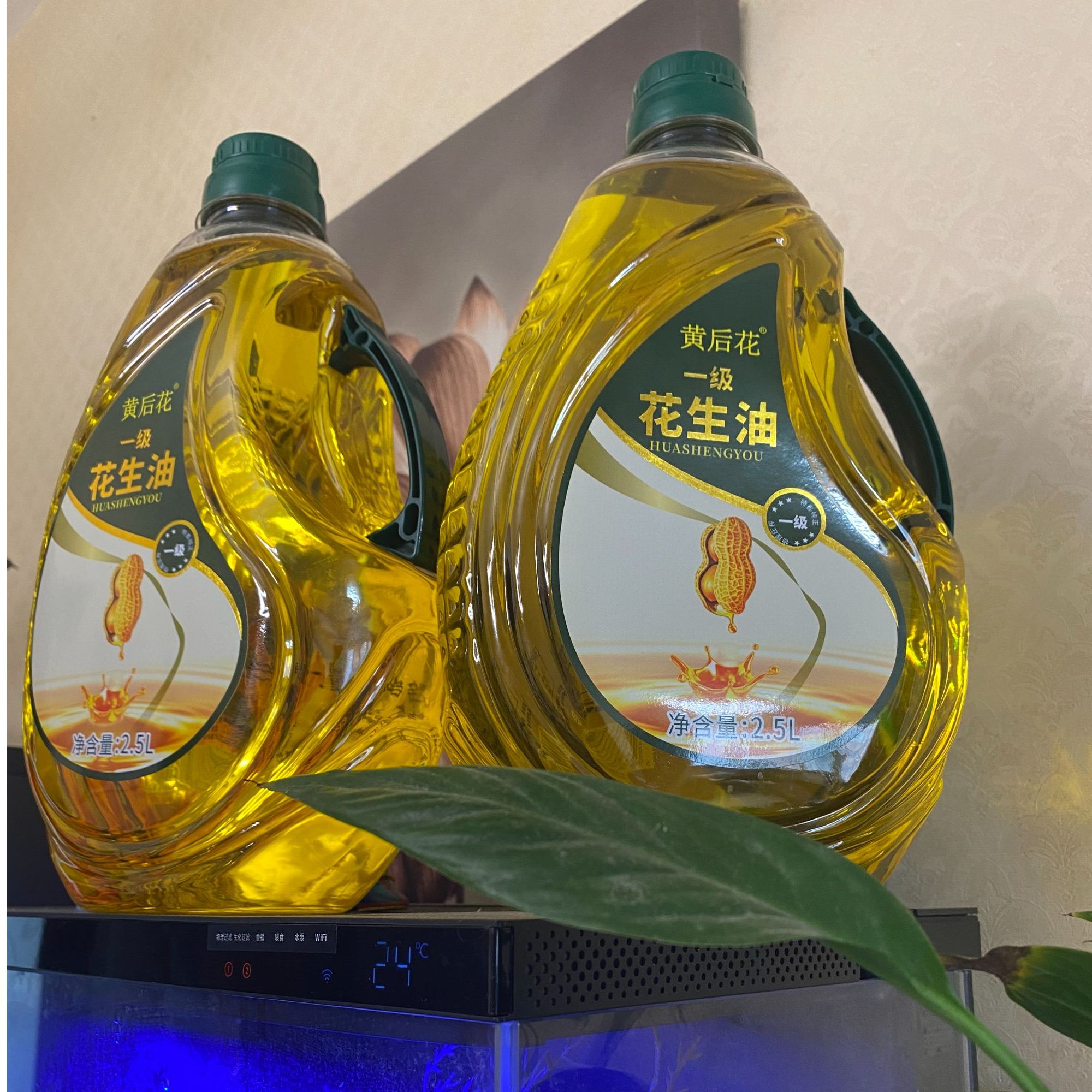 纯花生油花生之乡内黄农业合作社自种自榨纯花生油老味道精选原料