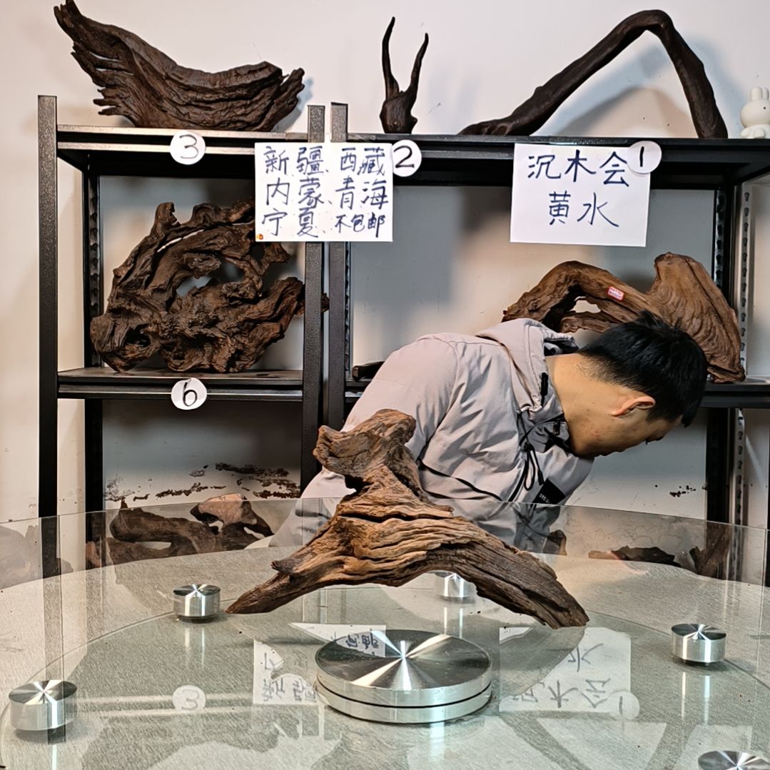 【闪购商品】A11戒***烟