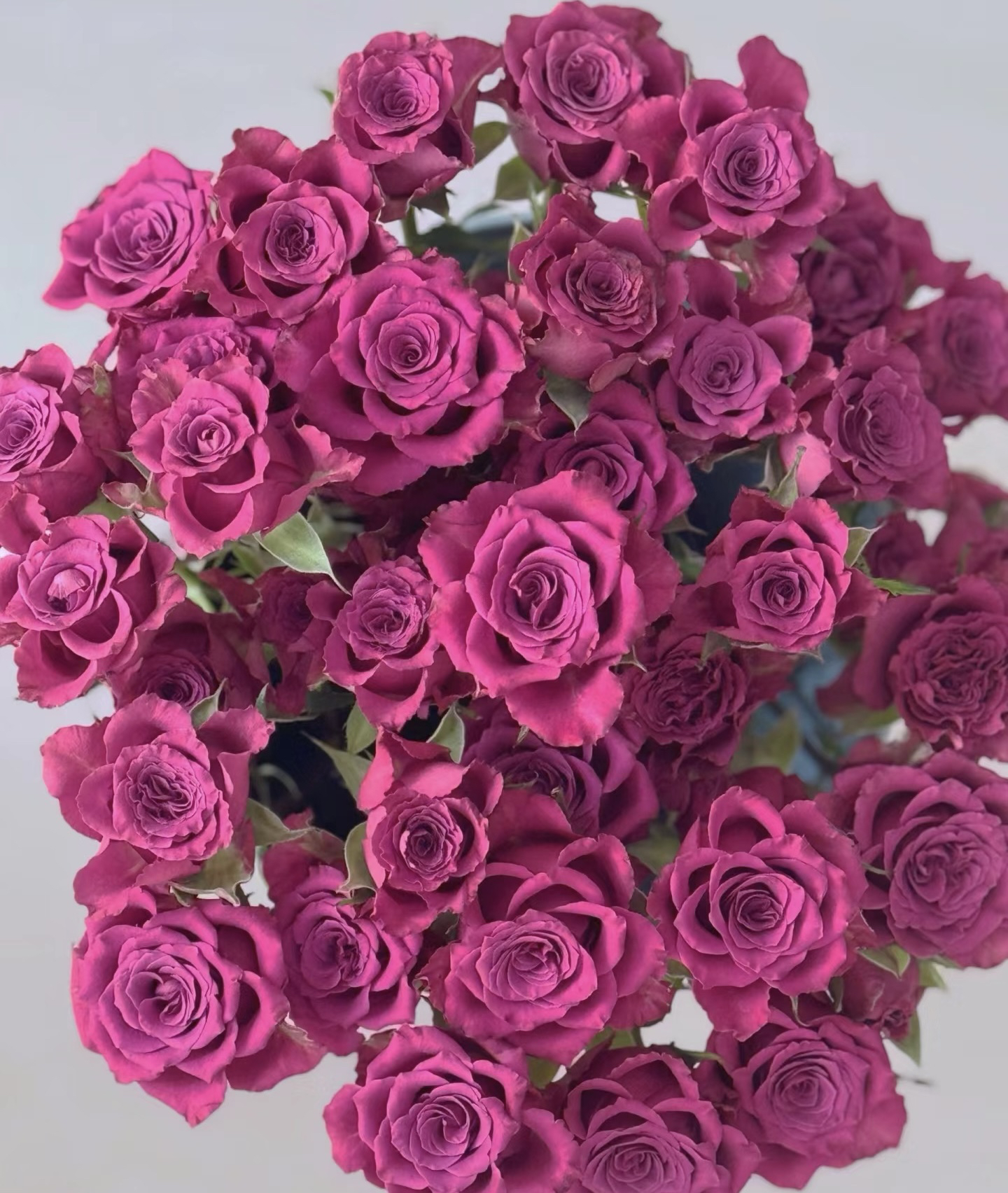 【10枝多头蓝莓】全场任意两单顺丰冷链包邮，0度以下必拍保温棉！