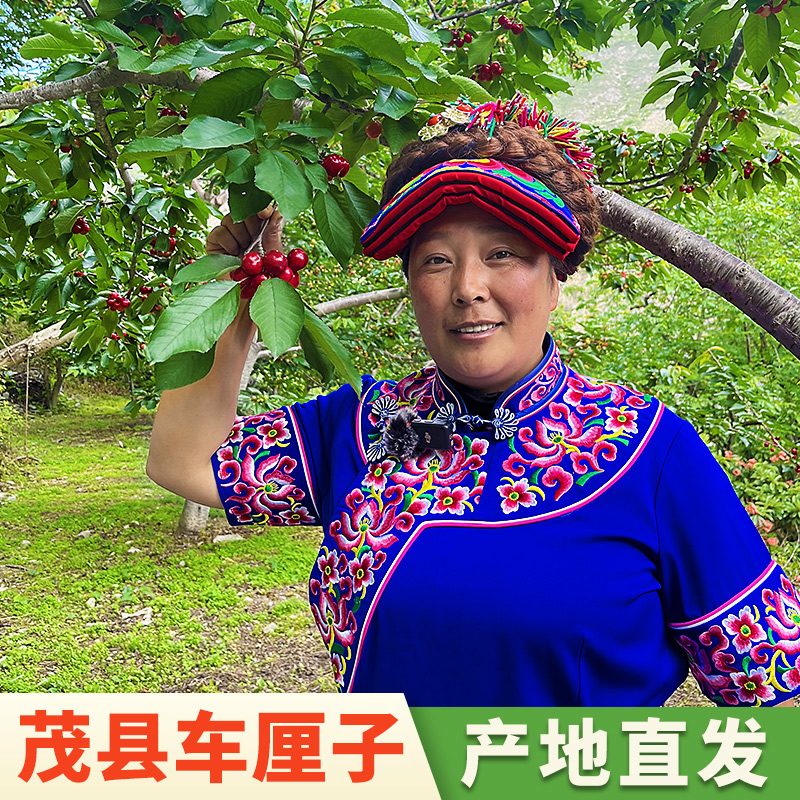 川渝地区茂县高山车厘子老红灯甜樱桃现摘现发口味香甜3斤到5斤