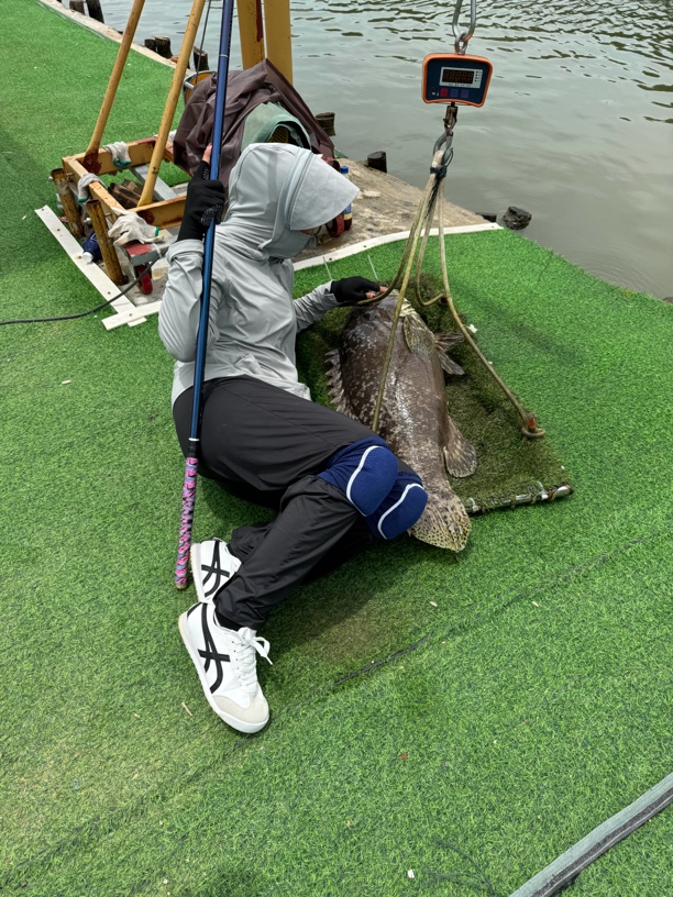 【威海直发6H19调】不畏大物台钓竿炫彩变色龙涂装全水域综合