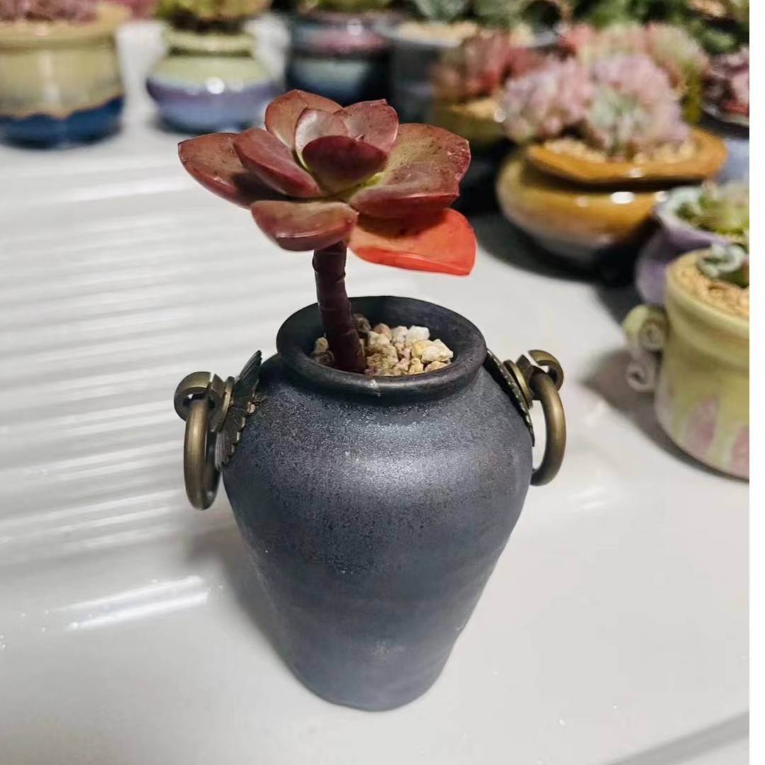 景德镇纯手工拉胚多肉花盆高温窑变简约轻奢复古磨砂亮釉拇指花盆