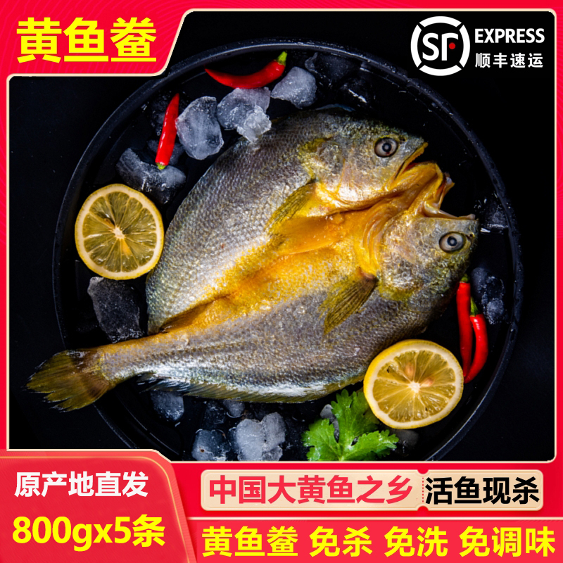大规格【800gX5条】霞浦黄鱼鲞 新鲜冷冻咸香黄花鱼 免杀免洗免调味