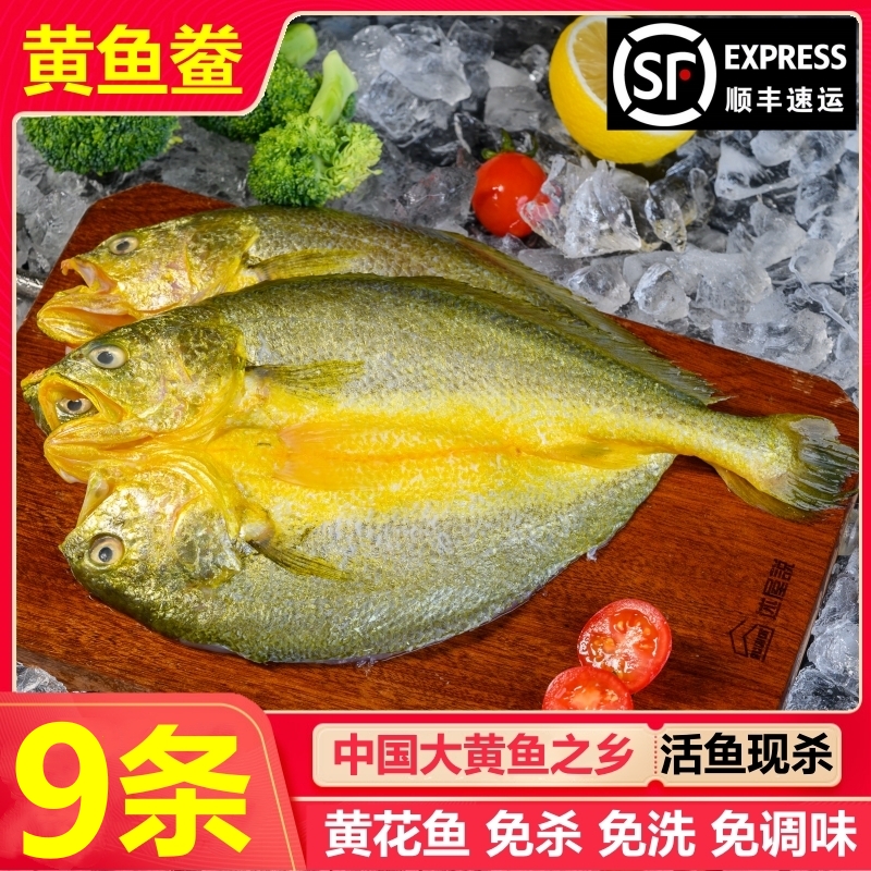 【6+3到手9条】200g/条 宁德霞浦 咸香大黄鱼黄鱼鲞黄花鱼 免杀免洗