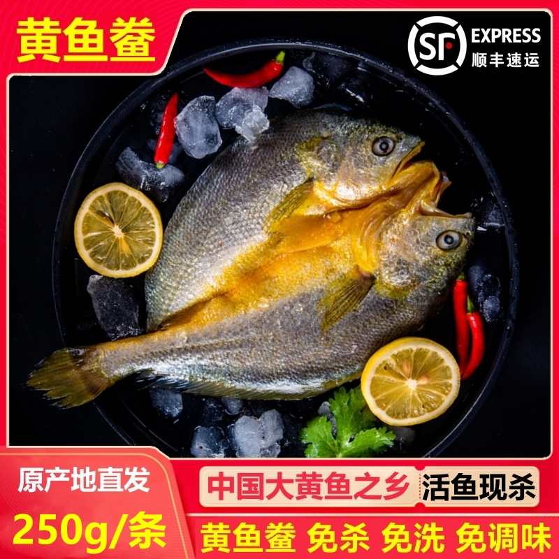 【250g/条】宁德霞浦黄鱼鲞新鲜冷冻咸香大黄鱼黄花鱼免杀免洗250g