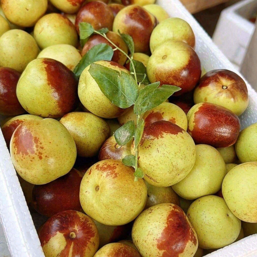 5A大荔冬枣 皮薄 纯甜