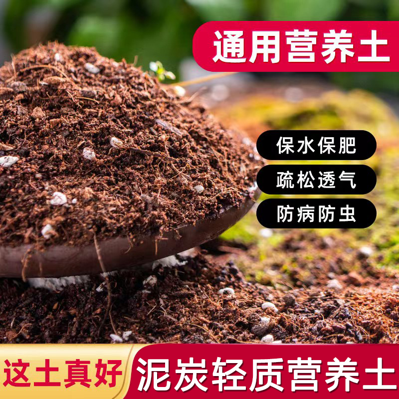 【买20升送10升】通用泥炭土营养土大包养花种菜土育苗适用绿植花土商品图