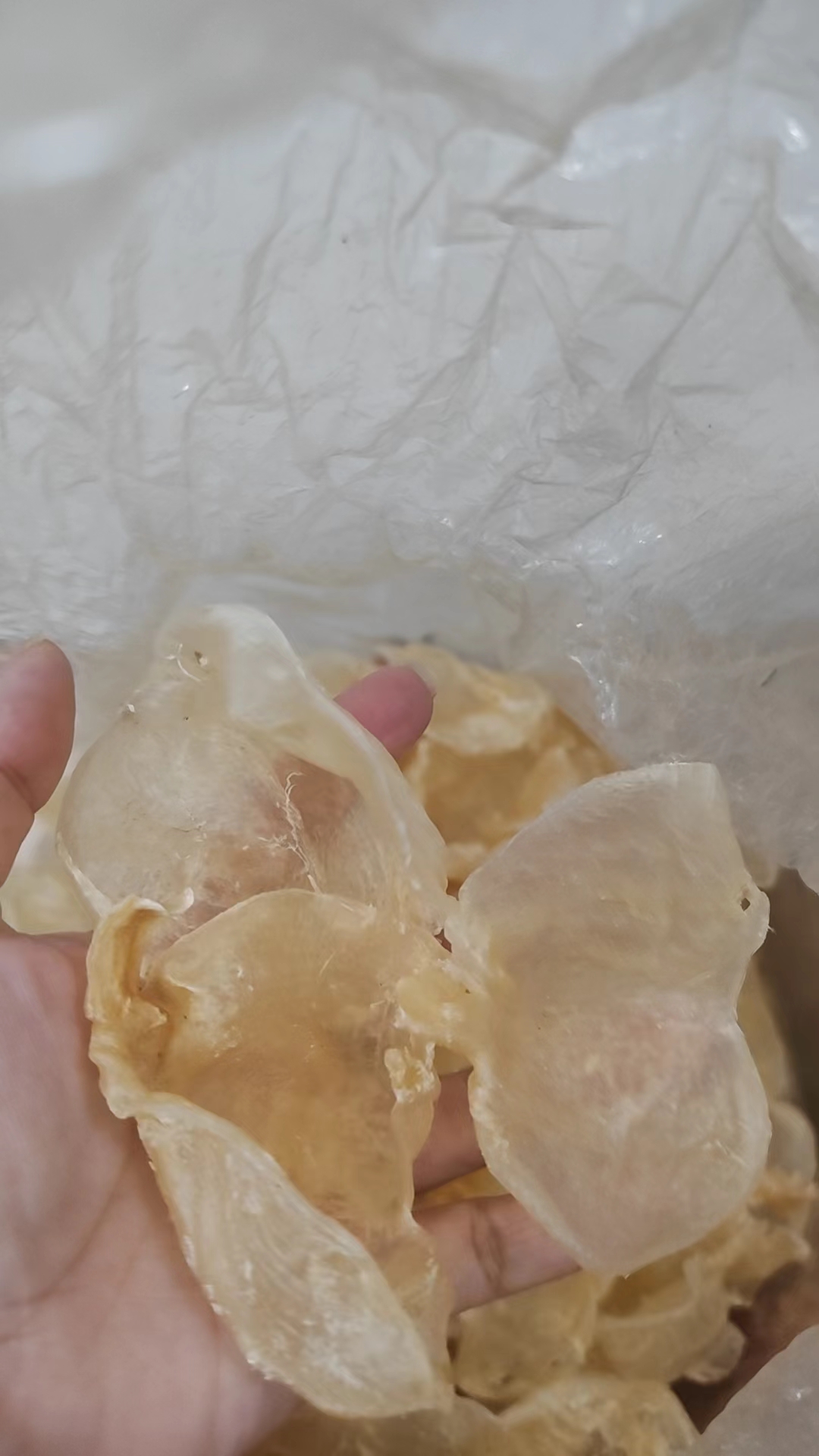 “优质蝴蝶胶，深海鱼胶之选，胶原丰富口感佳