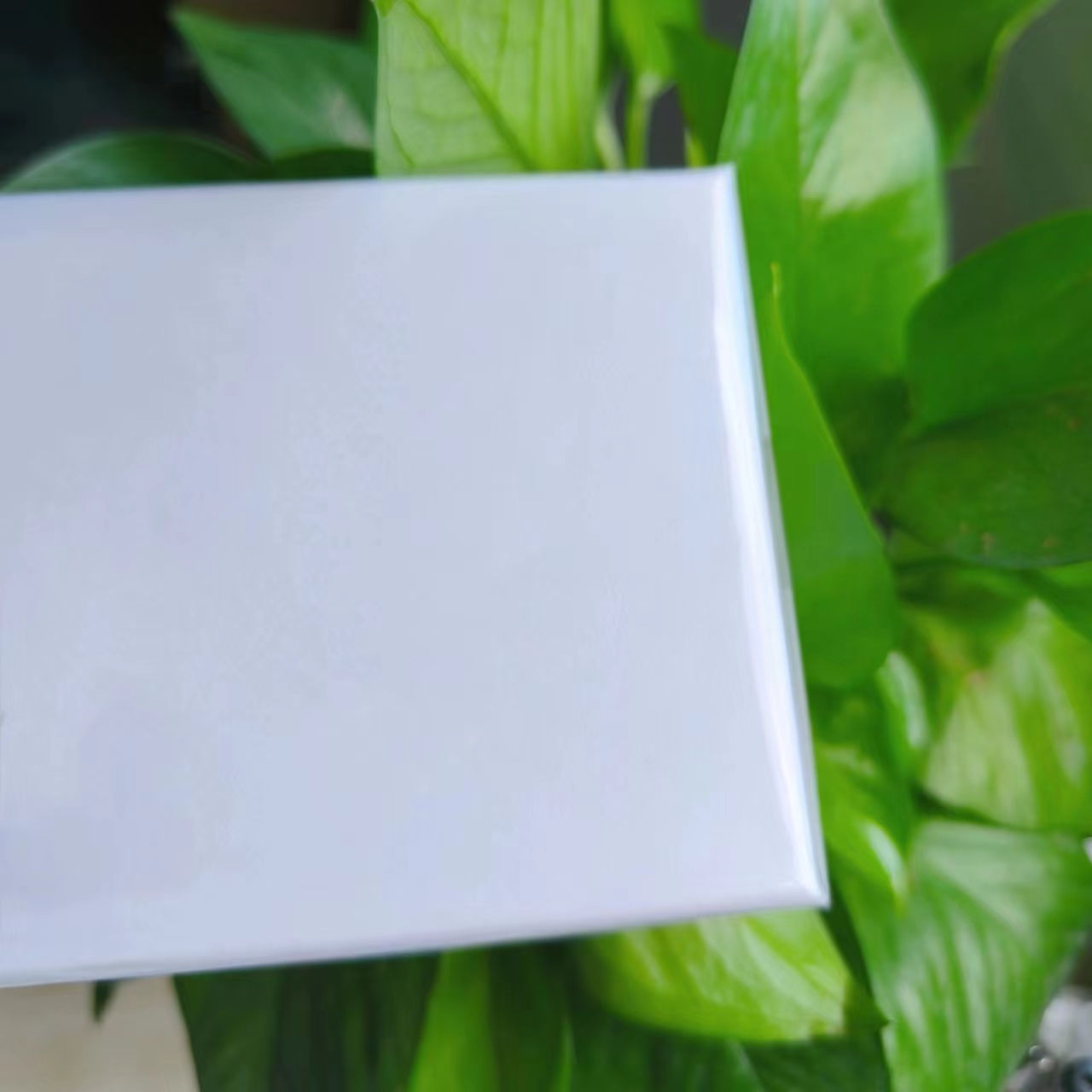 【言言分享巴宝家】清新迷人甜美青提奶昔香水套盒