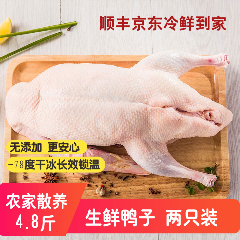 生鲜整鸭新鲜鸭肉白条鸭冷冻鸭子煲汤2.4斤*2只去内脏不带爪 农家