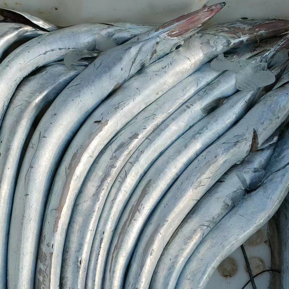 【胖妹海鲜】宁波小眼睛油带5斤装