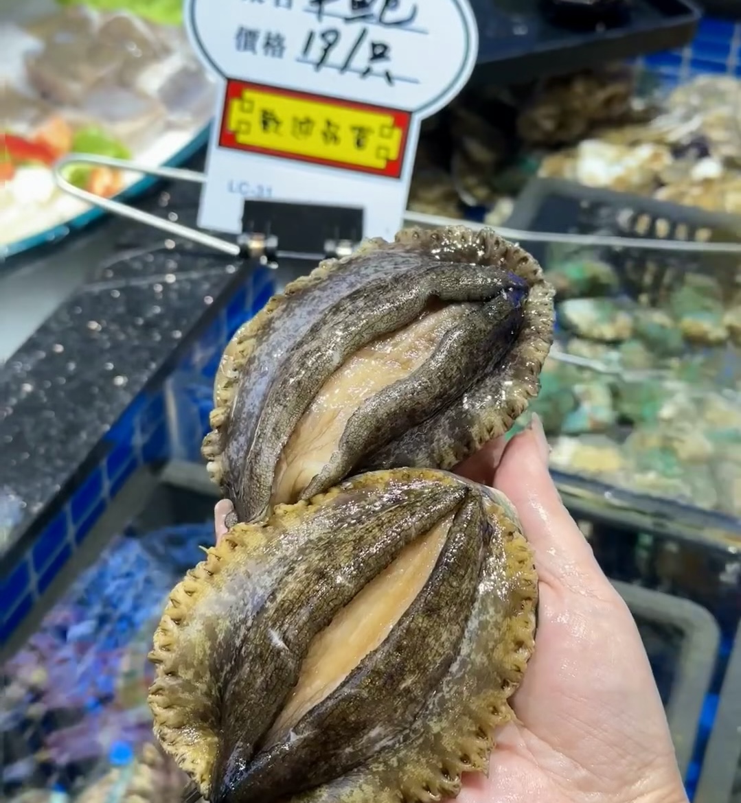 鲜活大鲍鱼500g(一斤）渤海湾远洋慢养超大特大掌心大鲍鱼500g顺丰冷链