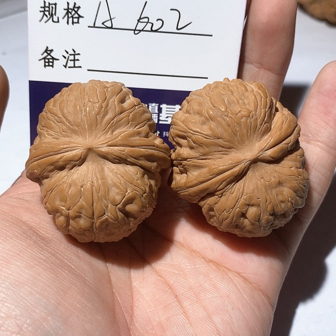 【闪购商品】A602 全品42元宝核雕