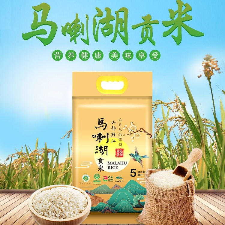 重庆 · 农科院 | 马拉湖贡米