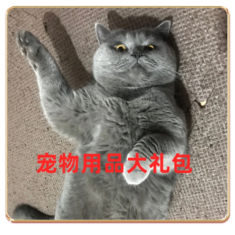 赠品大礼包