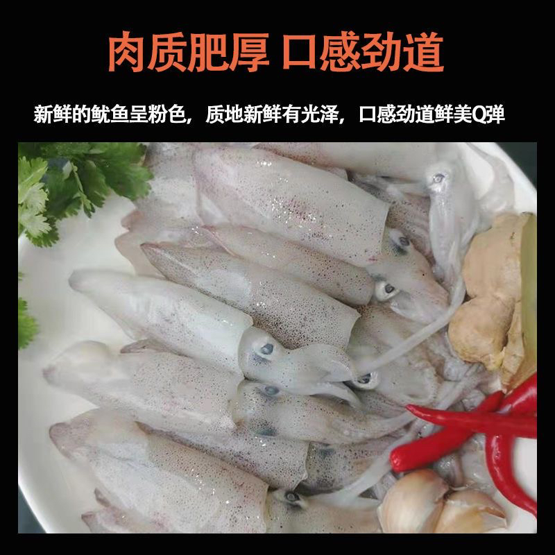 惠来神泉港码头照灯小海免
