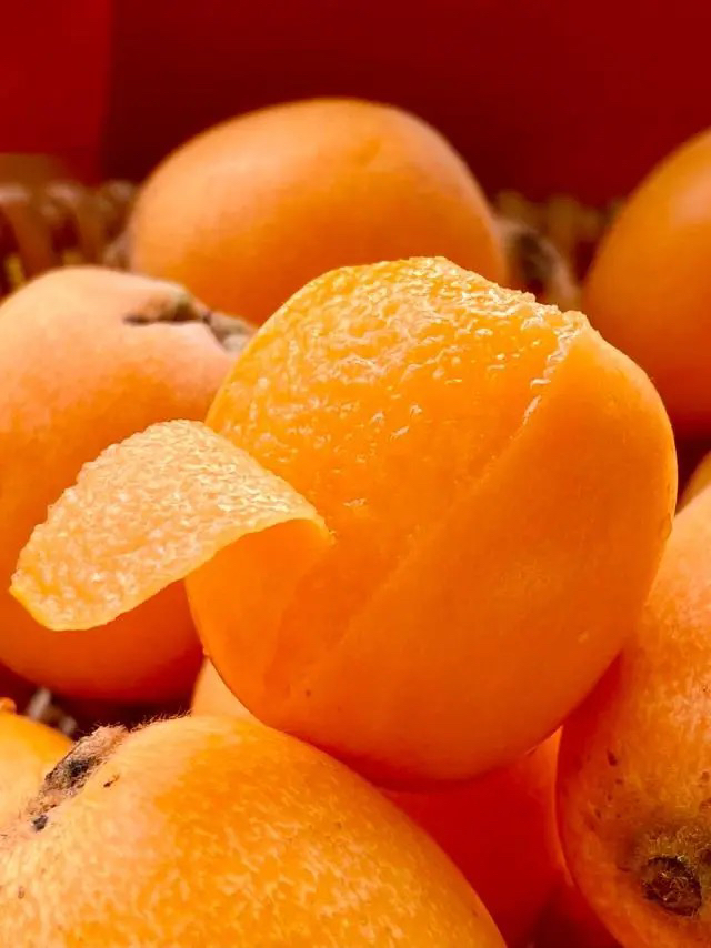 【同城配送】四川枇杷35/1斤