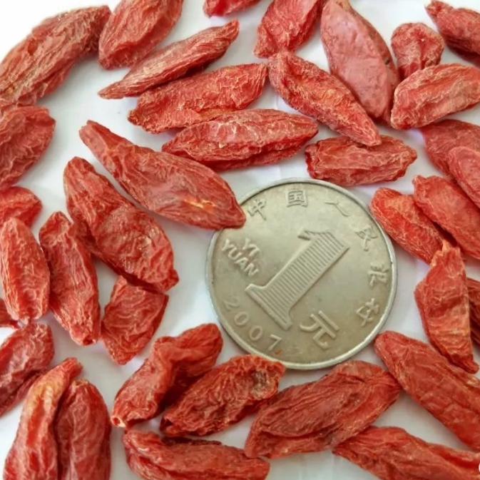 正宗宁夏500g枸杞子大颗粒头茬红枸杞苟杞子泡茶泡水