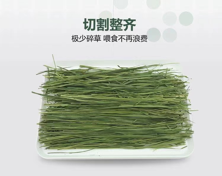 烘干磨牙草段200克