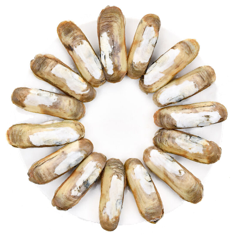蛏子 约1kg/份