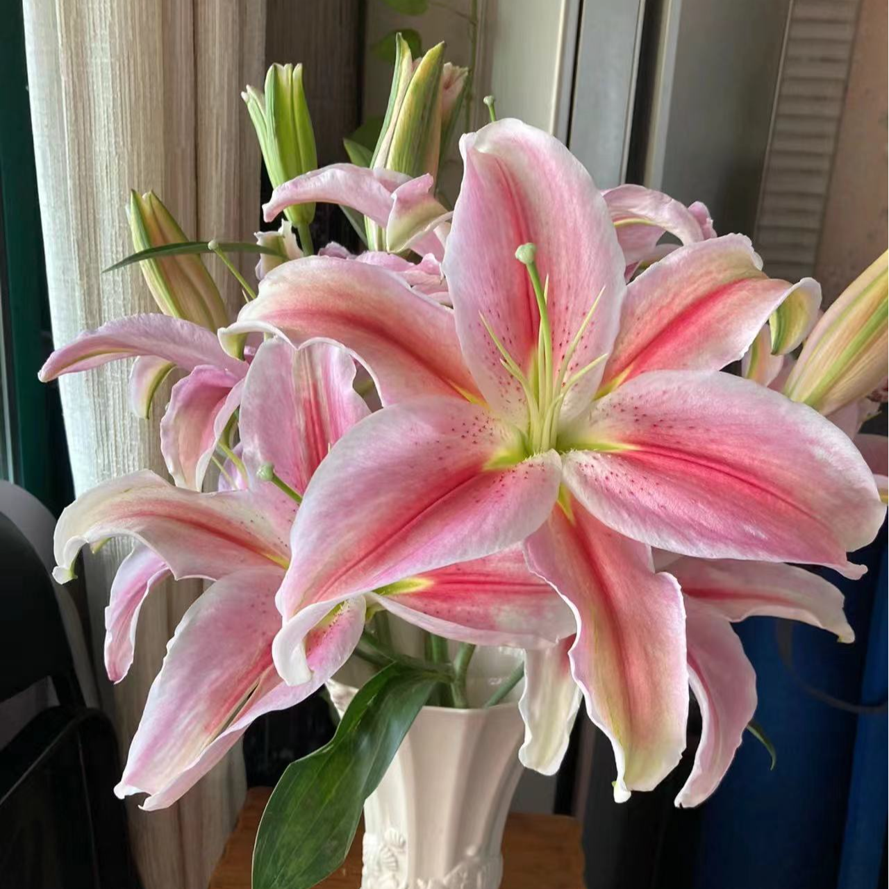 【有雲】罗曼蒂克-香水百合 任意两单包邮 发货后不支持退款