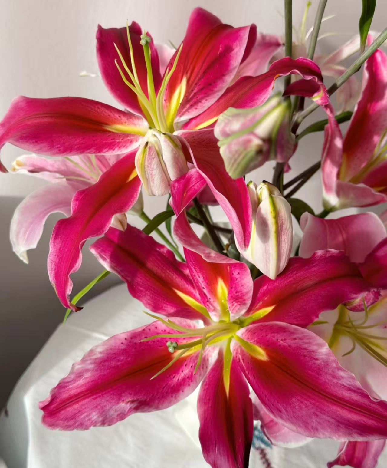 【有雲】特红-香水百合任意两单包邮 发货后不支持退款