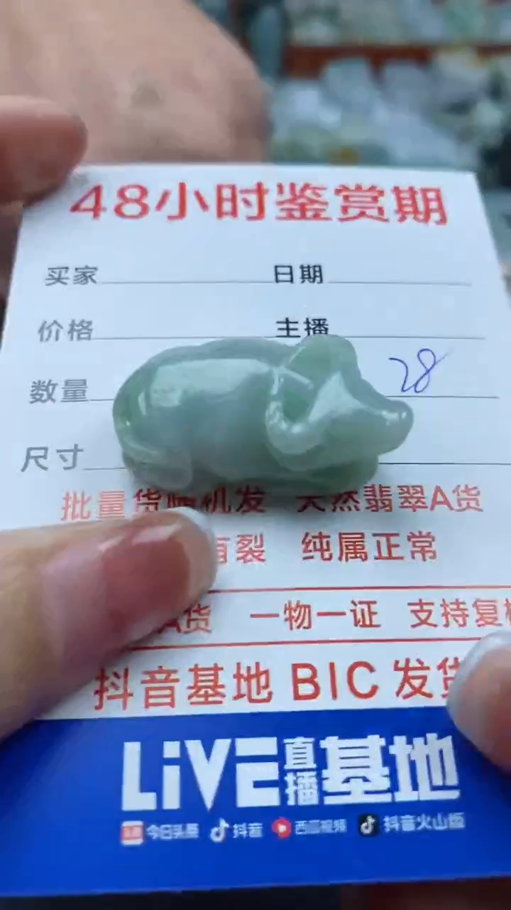 【闪购商品】翡翠颈饰未镶嵌569