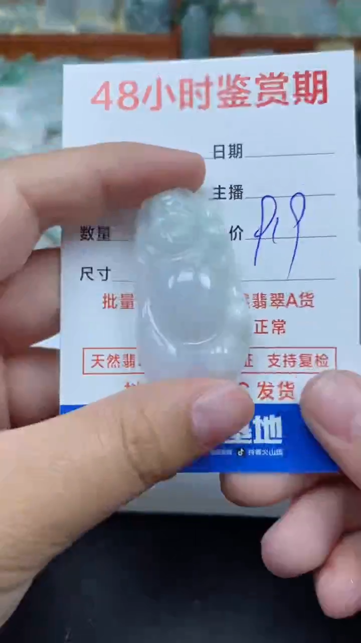 【闪购商品】翡翠颈饰未镶嵌527