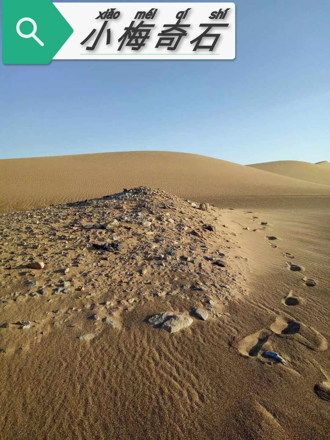 新疆大漠 风凌石 泥石 戈壁石 木化石 化石等各类摆件