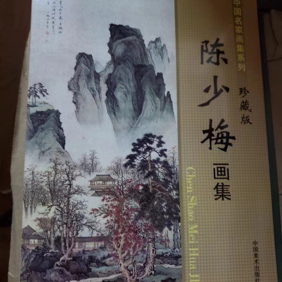 书角磨损，陈少梅画集 金黄皮