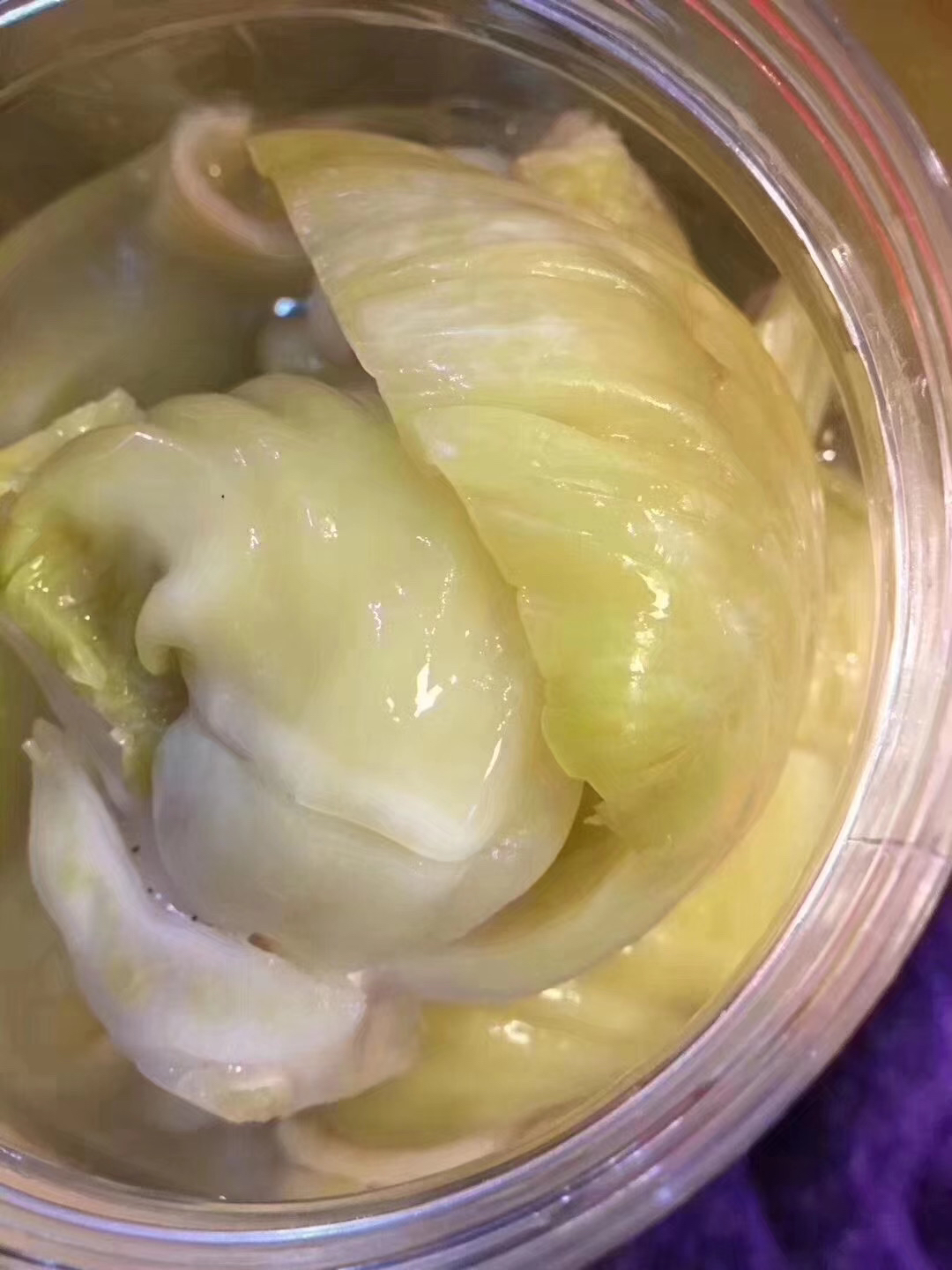 广东省汕头市菜心