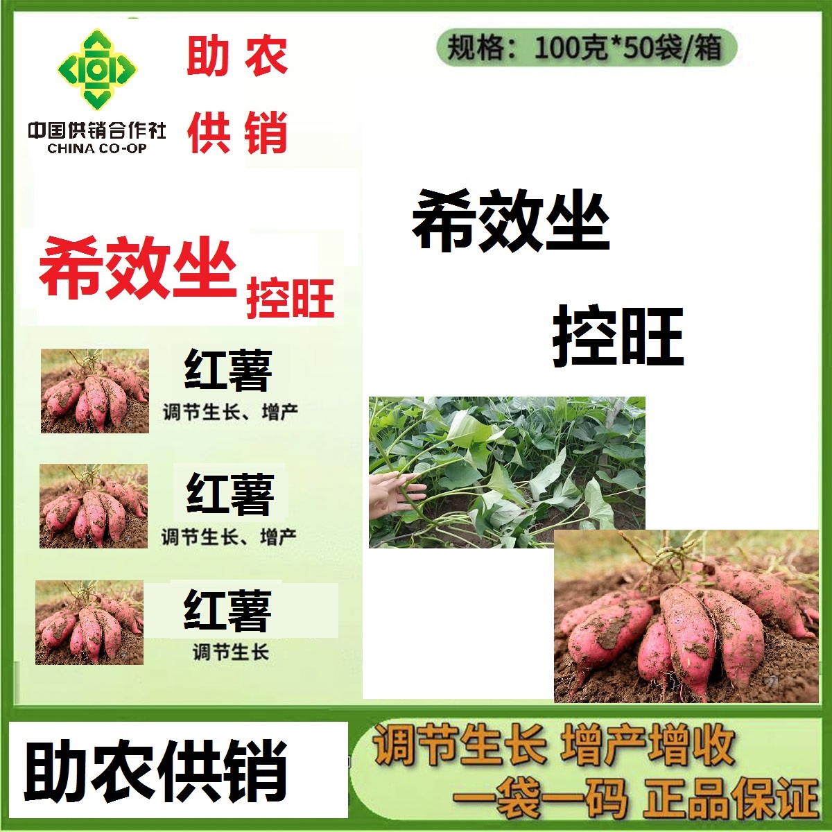国光希效坐水溶肥，高效水溶肥料