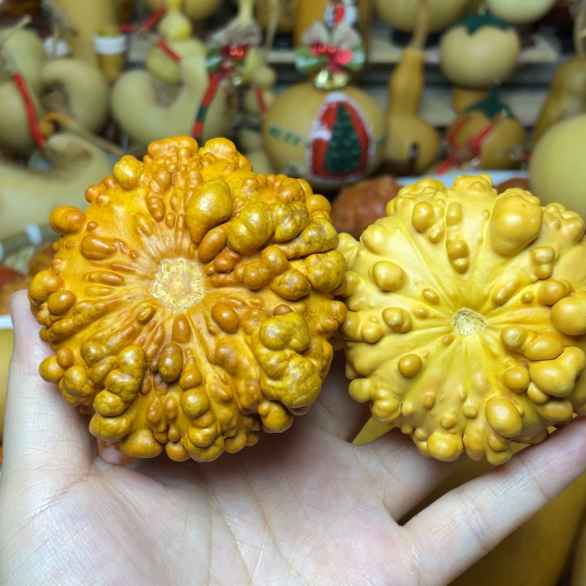 【闪购商品】铜葫芦