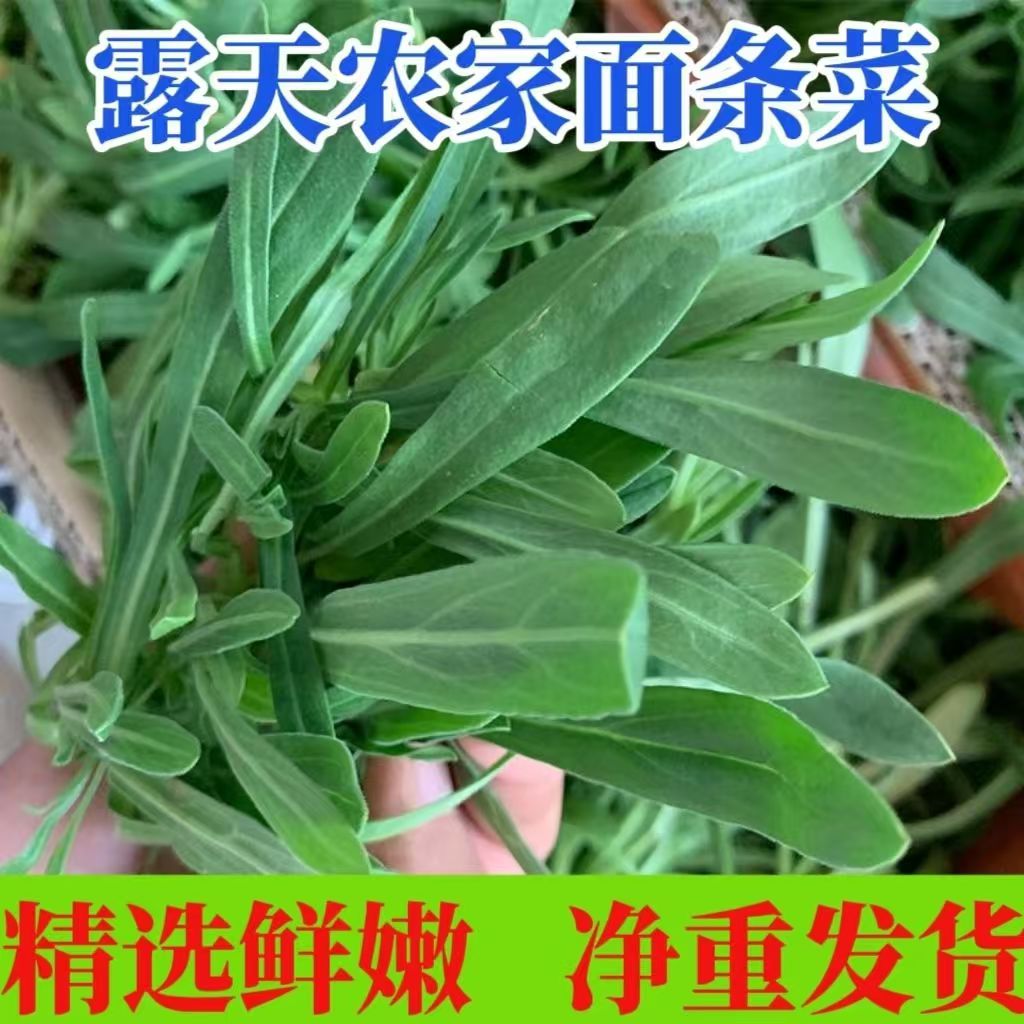 河南露天霜打新鲜面条菜新鲜时令野菜现挖现发2斤包邮坏单包赔
