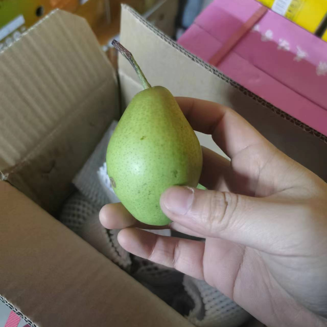 【同城送到家】精品库尔勒香梨小果 甜脆可口 一盒净重4斤左右