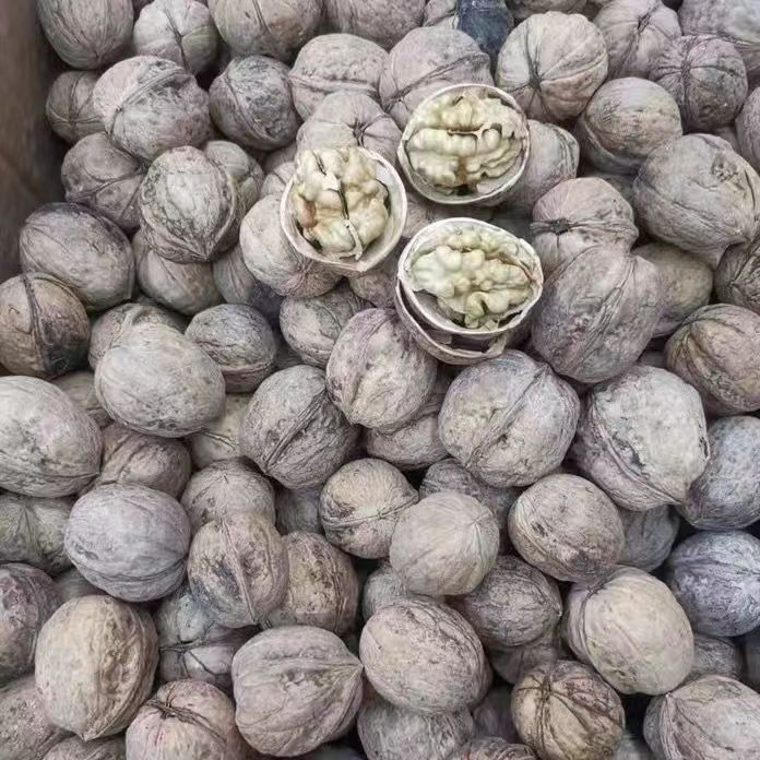 新货185纸皮核桃清洗 无漂泊 无添加 阿克苏纸皮核桃手捏即开