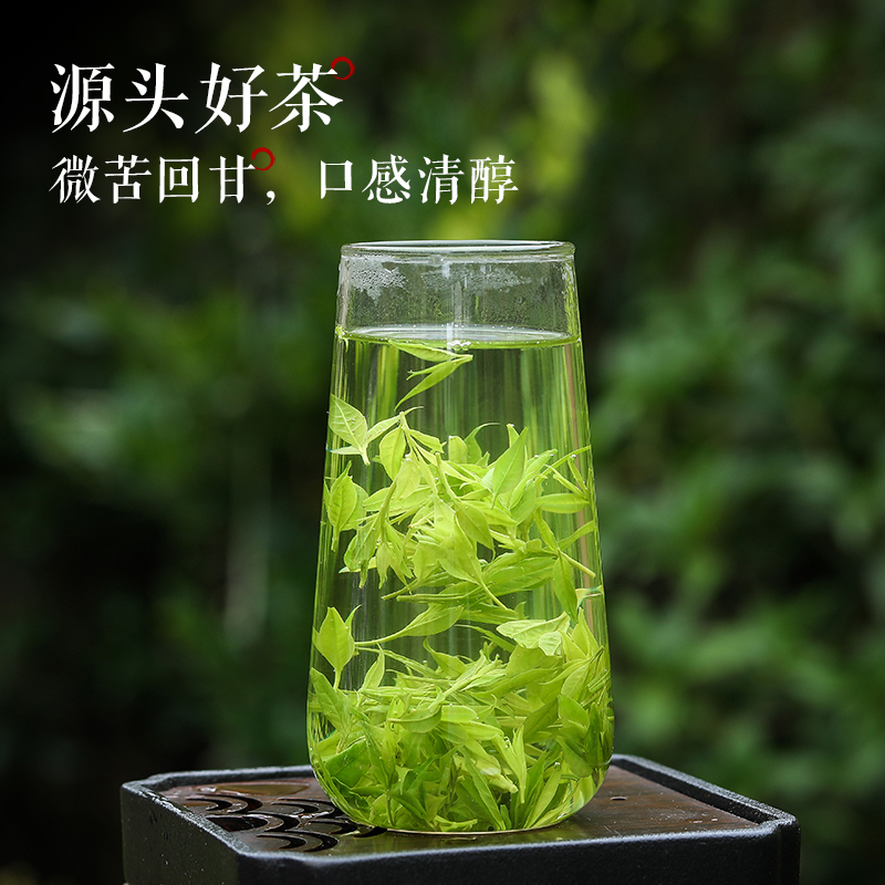 2025冲泡自然小叶苦丁茶持久新茶青山绿水嫩芽叶清香罐装