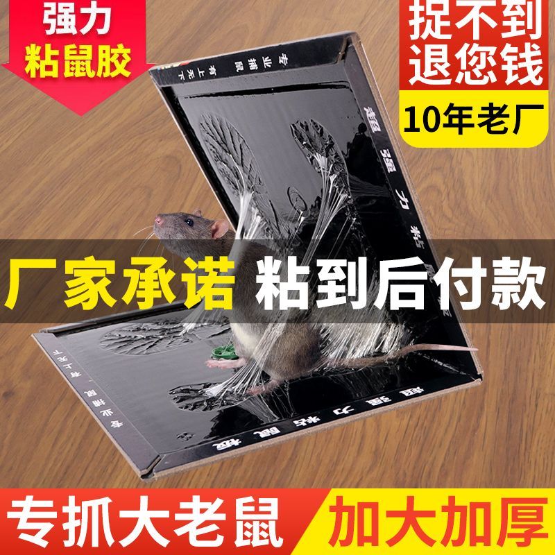【强力板】超粘加强型粘鼠板家用灭鼠神器强力捕鼠老鼠贴灭耗子