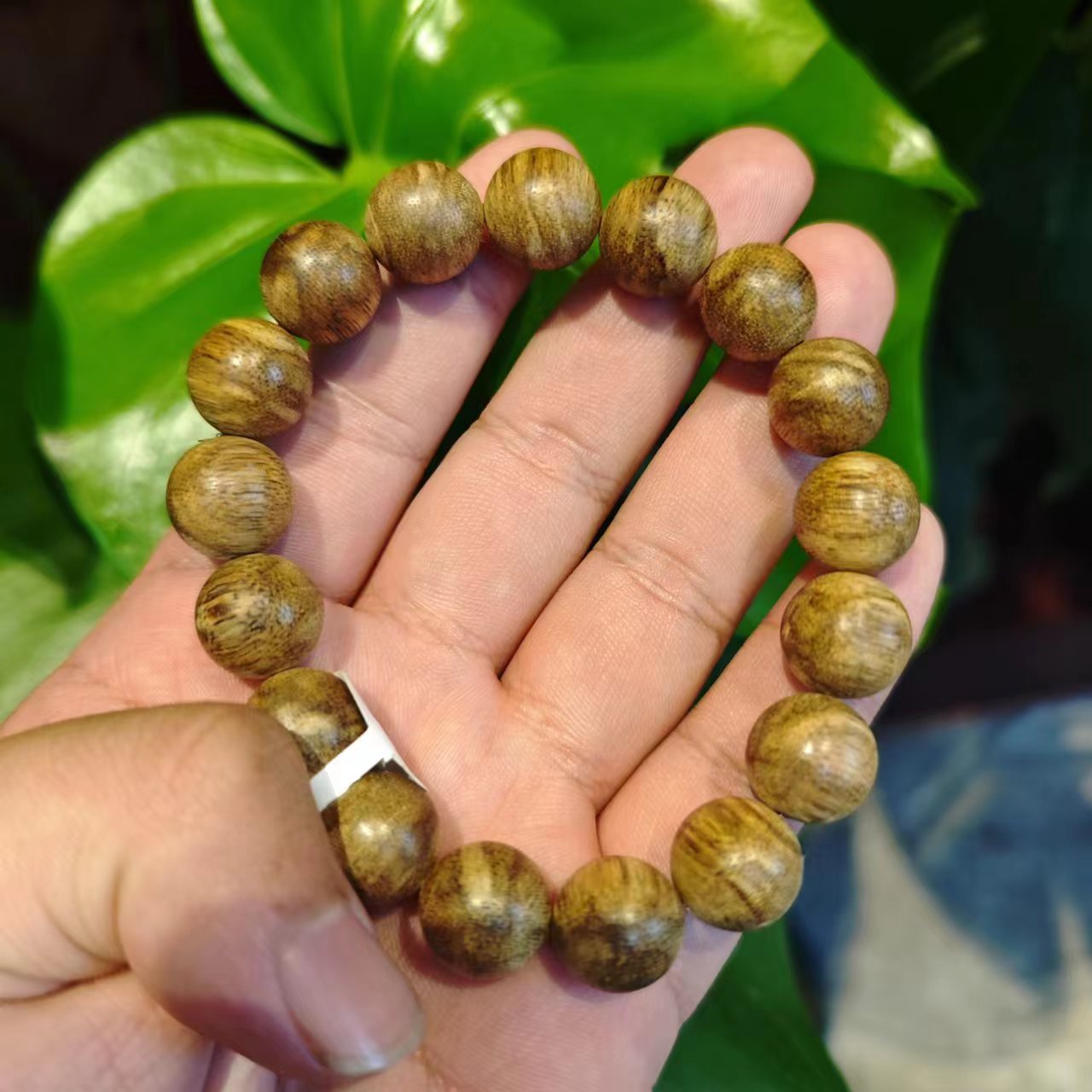 老赵见面礼：1.2达拉干沉香虎皮纹圆珠单圈（多样性发其一）