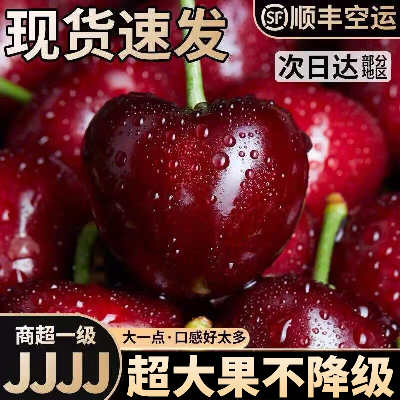 现货 智利车厘子4J巨无霸 桑提娜大樱桃黑珍珠进口特大果时令水果