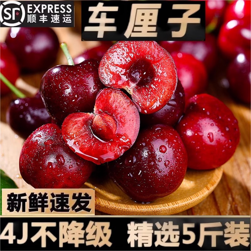 桑提娜【当天发货】现货当天发货进口顺丰空运智利车厘子1-5J级新鲜